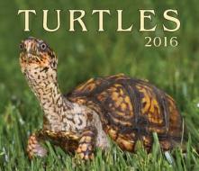 Turtles 2016 Calendar di Firefly Books edito da Firefly Books Ltd