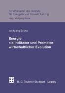 Energie als Indikator und Promotor wirtschaftlicher Evolution edito da Vieweg+Teubner Verlag