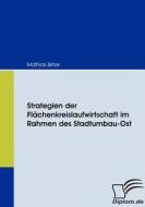 Strategien der Flächenkreislaufwirtschaft im Rahmen des Stadtumbau-Ost di Mathias Britze edito da Diplomica Verlag