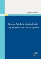 Exchange Rate Determination Puzzle: Long Run Behavior and Short Run Dynamics di Falkmar Butgereit edito da Diplomica Verlag