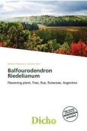 Balfourodendron Riedelianum edito da Dicho