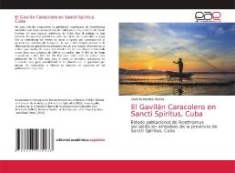 EL GAVIL N CARACOLERO EN SANCTI SP RITUS di ABE HERN NDEZ-MU OZ edito da LIGHTNING SOURCE UK LTD