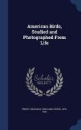 American Birds, Studied And Photographed From Life di William L 1876-1953 Finley edito da Sagwan Press