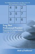 Feng Shui Professional Practice di Shido of Sukhavati edito da iUniverse