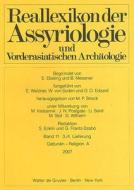 Reallexikon Der Assyriologie Und Vorderasiatischen Archaologie Band 11 3./4.: Qattunan-Religion. A edito da Walter de Gruyter