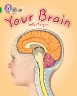 Your Brain di Sally Morgan edito da HarperCollins Publishers