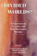 Divided Worlds?: Challenges in Classics and New Testament Studies edito da SOC OF BIBLICAL LITERATURE