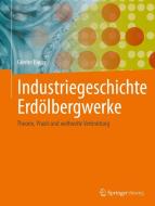 Industriegeschichte Erdölbergwerke di Günter Bauer edito da Springer-Verlag GmbH