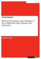 What are the prospects and challenges of the COMESA-EAC-SADC Tripartite Free Trade Area? di Jeremy Raguain edito da GRIN Verlag