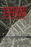 Divided Cities edito da Nordic Academic Press