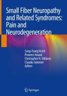 Small Fiber Neuropathy and Related Syndromes: Pain and Neurodegeneration edito da Springer-Verlag GmbH