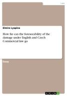 How Far Can The Foreseeability Of The Damage Under English And Czech Commercial Law Go di Elmira Lyapina edito da Grin Publishing