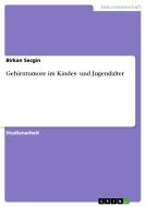 Gehirntumore im Kindes- und Jugendalter di Birkan Secgin edito da GRIN Verlag
