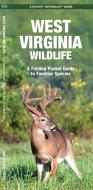 West Virginia Wildlife: An Introduction to Familiar Species di James Kavanagh edito da Waterford Press