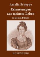 Erinnerungen aus meinem Leben di Amalia Schoppe edito da Hofenberg
