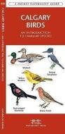 Calgary Birds: An Introduction to Familiar Species di James Kavanagh edito da Waterford Press