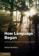 How Language Began di David (University of Chicago) McNeill edito da Cambridge University Press
