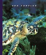 Sea Turtles di Sophie Lockwood edito da Child's World