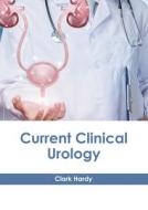 Current Clinical Urology edito da HAYLE MEDICAL