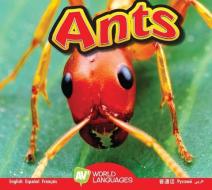 Ants di Aaron Carr edito da AV2 BY WEIGL