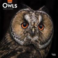 Owls 2020 Square Wall Calendar di Inc Browntrout Publishers edito da Brown Trout