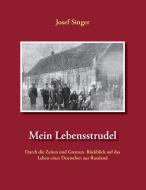 Mein Lebensstrudel di Josef Singer edito da Books on Demand