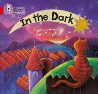 In the Dark di Claire Llewellyn edito da HarperCollins Publishers