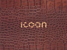 ICOON - Version: croco di Gosia Warrink edito da Amberpress