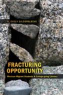 Fracturing Opportunity di R. Evely Gildersleeve edito da Lang, Peter