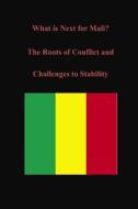 What Is Next for Mali? the Roots of Conflict and Challenges to Stability di U. S. Army War College edito da Createspace