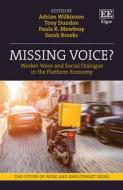 Missing Voice? di Adrian Wilkinson, Tony Dundon, Paula K. Mowbray, Sarah Brooks edito da Edward Elgar Publishing Ltd