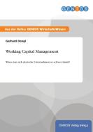 Working Capital Management di Gerhard Dengl edito da GBI-Genios Verlag