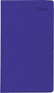 Taschenplaner Leporello PVC türkis 2025 - Bürokalender 9,5x16 cm - 1 Monat auf 2 Seiten - separates Adressheft - faltbar - Notizheft - 510-1003 edito da Neumann Verlage GmbH & Co
