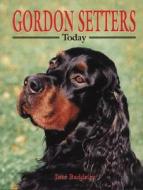 Gordon Setters Today di Jose Baddeley edito da Interpet Publishing