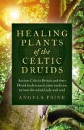 Healing Plants of the Celtic Druids di Angela Paine edito da John Hunt Publishing