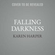 Falling Darkness: (South Shores) di Karen Harper edito da Mira Books