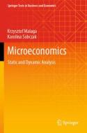 Microeconomics di Karolina Sobczak, Krzysztof Malaga edito da Springer International Publishing