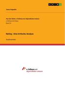 Rating - Eine Kritische Analyse di Jonas Augustin edito da Grin Publishing