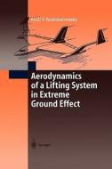 Aerodynamics of a Lifting System in Extreme Ground Effect di Kirill V. Rozhdestvensky edito da Springer Berlin Heidelberg