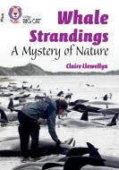 Whale Strandings di Claire Llewellyn edito da HarperCollins Publishers