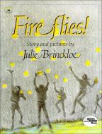 Fireflies di Julie Brinckloe edito da PERFECTION LEARNING CORP