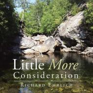 A LITTLE MORE CONSIDERATION di RICHARD EHRLICH edito da LIGHTNING SOURCE UK LTD