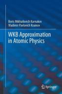 WKB Approximation in Atomic Physics di Boris Mikhailovich Karnakov, Vladimir Pavlovich Krainov edito da Springer Berlin Heidelberg