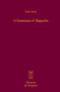 A Grammar of Mapuche di C. J. M. a. Smeets, Ineke Smeets edito da Walter de Gruyter