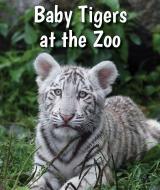 Baby Tigers at the Zoo di Cecelia H. Brannon edito da ENSLOW PUBL
