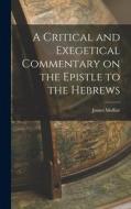 A Critical and Exegetical Commentary on the Epistle to the Hebrews di James Moffatt edito da LEGARE STREET PR