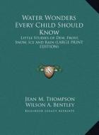 Water Wonders Every Child Should Know: Little Studies of Dew, Frost, Snow, Ice and Rain (Large Print Edition) di Jean M. Thompson edito da Kessinger Publishing