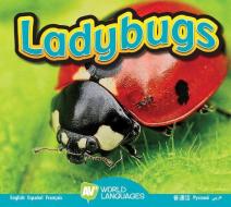 Ladybugs di Aaron Carr edito da AV2 BY WEIGL