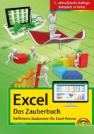 Excel - Das Zauberbuch: Raffinierte Zaubereien für Excel-Kenner di Ignatz Schels edito da Markt+Technik Verlag