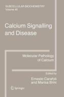 Calcium Signalling and Disease edito da Springer Netherlands